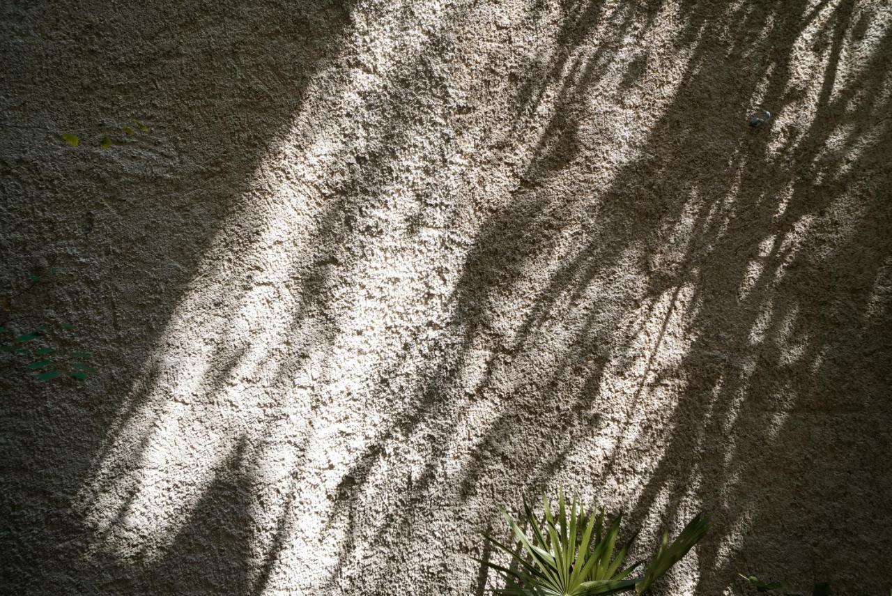 Appartement Teva Tulum, Aldea Zama Extérieur photo