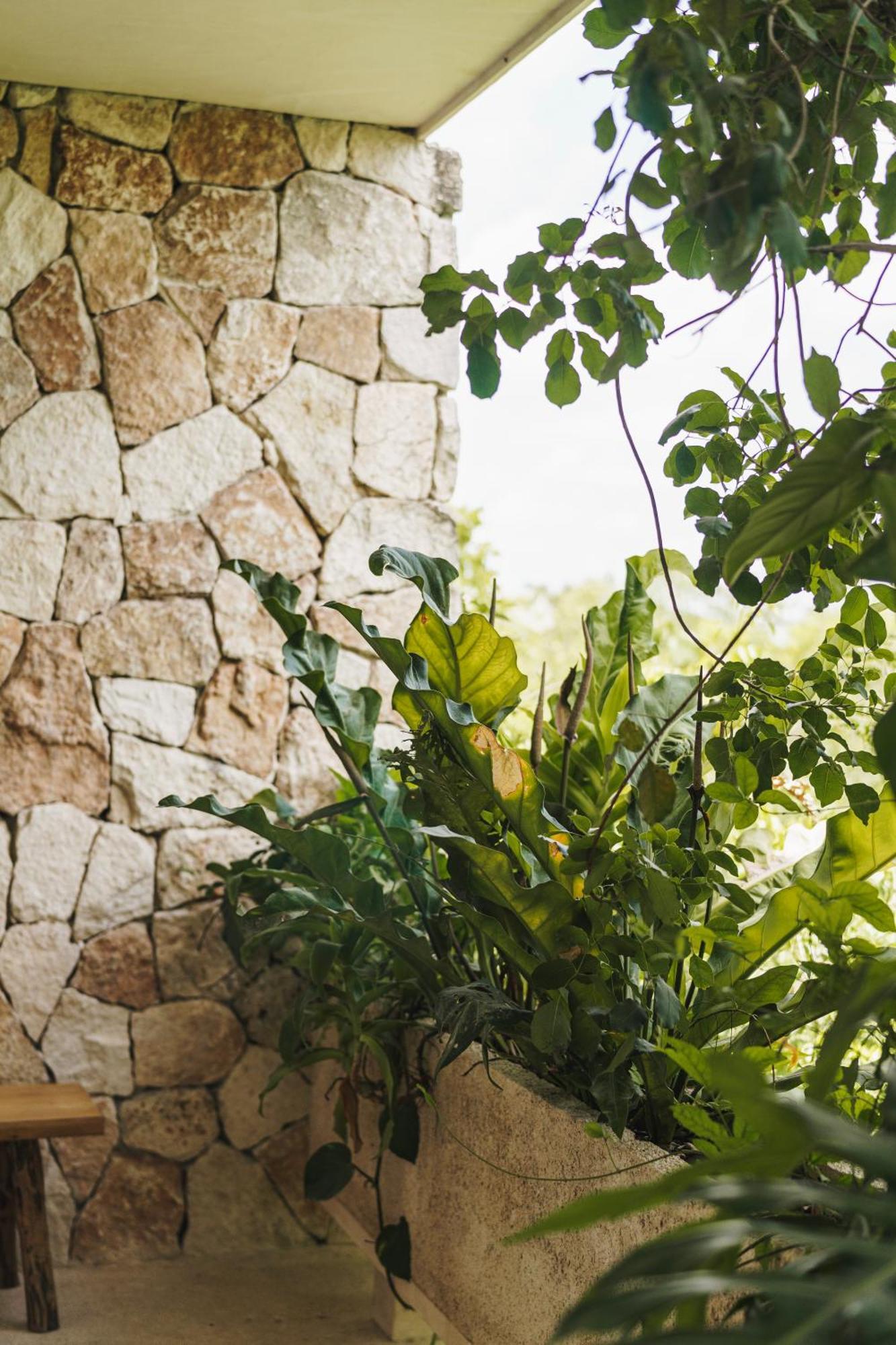 Appartement Teva Tulum, Aldea Zama Extérieur photo